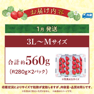 【2027年1月発送】完熟「古都華」奈良ブランドいちご3L～Mサイズ2パック　先行予約 ことか 甘い 糖度 濃い 濃厚 果汁 香り 朝摘み いちご イチゴ 苺 フルーツ 果物 くだもの ご褒美 ごほうび 贈答 贈り物 ギフト プレゼント 冷蔵 奈良県 生駒市 送料無料