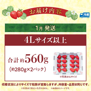 【2027年1月発送】完熟「古都華」奈良ブランドいちご4Lサイズ以上2パック　先行予約 ことか 甘い 糖度 濃い 濃厚 果汁 香り 朝摘み いちご イチゴ 苺 フルーツ 果物 くだもの ご褒美 ごほうび 贈答 贈り物 ギフト プレゼント 冷蔵 奈良県 生駒市 送料無料