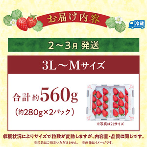 【2027年2月～3月発送】完熟「古都華」奈良ブランドいちご3L～Mサイズ2パック　先行予約 ことか 甘い 糖度 濃い 濃厚 果汁 香り 朝摘み いちご イチゴ 苺 フルーツ 果物 くだもの ご褒美 ごほうび 贈答 贈り物 ギフト プレゼント 冷蔵 奈良県 生駒市 送料無料