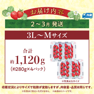 【2027年2月～3月発送】完熟「古都華」奈良ブランドいちご3L～Mサイズ4パック　先行予約 ことか 甘い 糖度 濃い 濃厚 果汁 香り 朝摘み いちご イチゴ 苺 フルーツ 果物 くだもの ご褒美 ごほうび 贈答 贈り物 ギフト プレゼント 冷蔵 奈良県 生駒市 送料無料