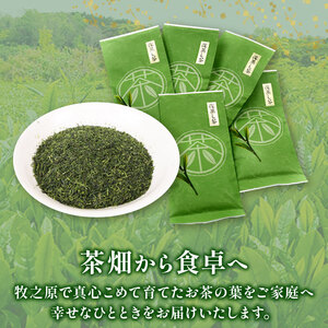 【2ヶ月毎定期便・6回発送】 深蒸し茶 特選 5本 国産  静岡県 牧之原市  マルイ伊藤製茶