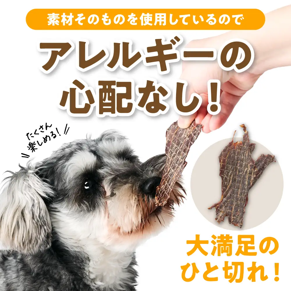 ペット用 馬刺しジャーキー100g  馬肉 ペットフード 愛犬 ドッグフード おやつ 食事 ごはん