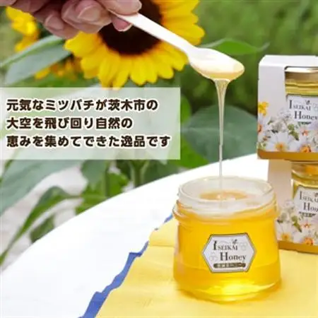 医誠会ハニー(スパウトパウチ)＆キャンディ詰合せ_菓子・スイーツ 和菓子    調味料 はちみつ  ハチミツ 蜂蜜_【1601787】