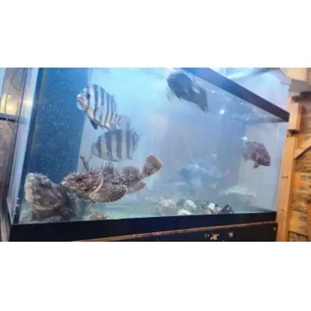 漁師料理酒場「名物のジャッパ汁」津軽海峡鮮魚店　ご飲食券　1,000円券×9枚(合計9,000円分)_旅行券・チケット 食事券  _【1588148】