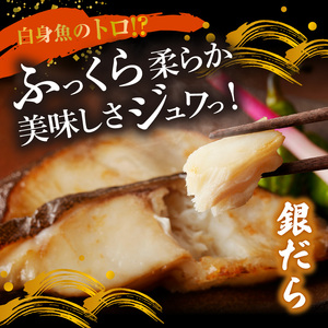 G60-T89_魚鶴自慢 豪華お魚セット 全6回定期便