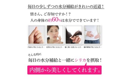 理想のシリカ 500ml × 48本