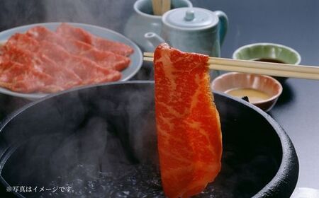 神戸牛赤身スライス 500g 冷凍 国産 もも 肩 しゃぶ 72-05