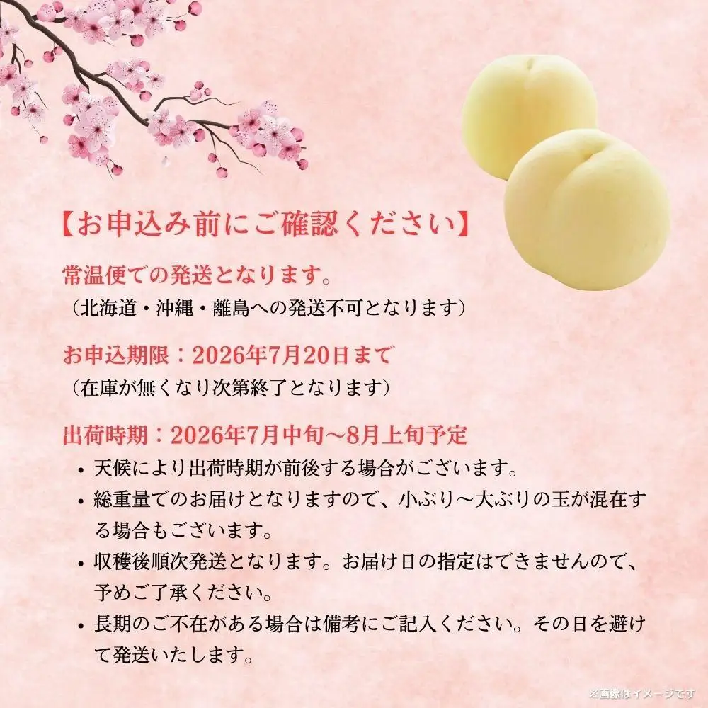 【2026年先行予約】［拝郷果樹園］岡山県産 清水白桃 約2kg（6玉～9玉）