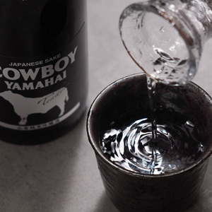 新潟純米吟醸のみくらべ3本セット 日本酒 酒 お酒 純米吟醸 純米吟醸酒 飲み比べ セット 新潟 新潟市