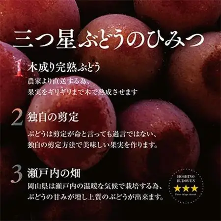 先行受付【三つ星ブランド】星乃クイーンニーナ 数量限定 3房～5房(1.7kg以上)【配送不可地域：離島・北海道・沖縄県】【1601634】