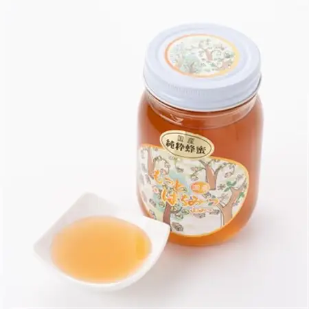 津山市産 山蜂蜜　600g【1605221】