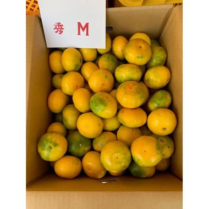 極早生みかん 赤秀品 Мサイズ 5kg