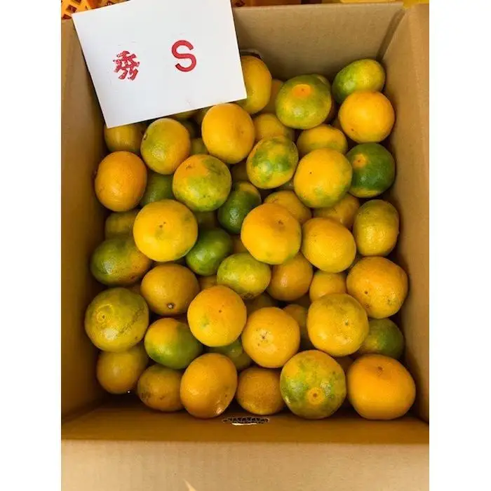 極早生みかん 赤秀品 Sサイズ 5kg