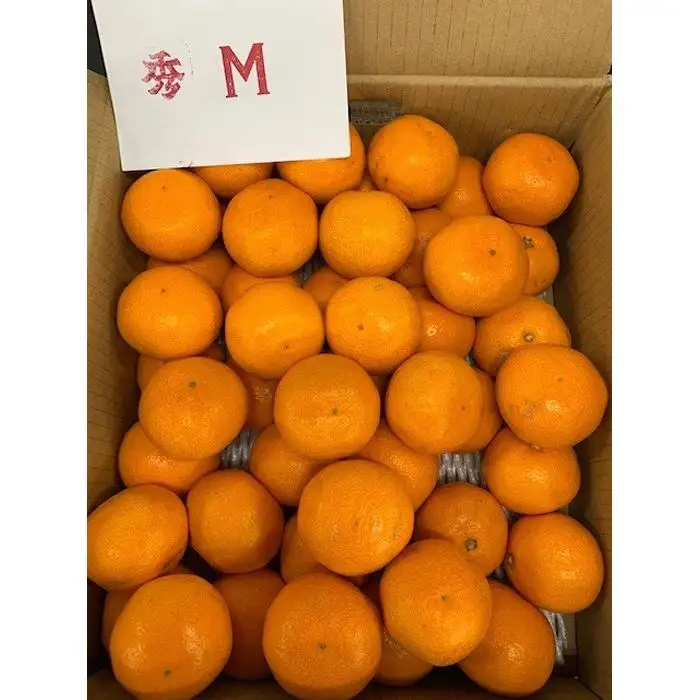 ゆら早生みかん 赤秀品 Мサイズ 5kg