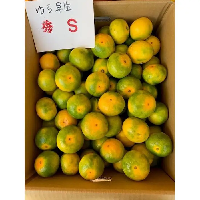 ゆら早生みかん 赤秀品 Sサイズ 5kg