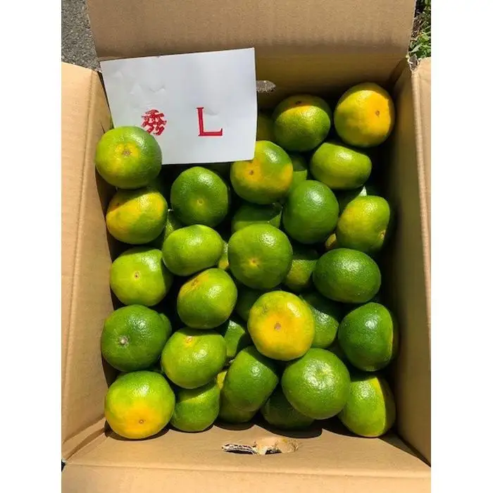 極早生みかん 赤秀品 Lサイズ 5kg