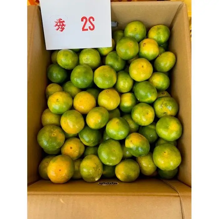 極早生みかん 赤秀品 2Sサイズ 5kg