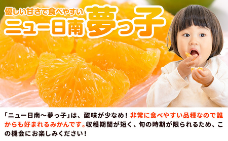 【先行予約】みかん 極早生みかん 夢っ子 5kg
