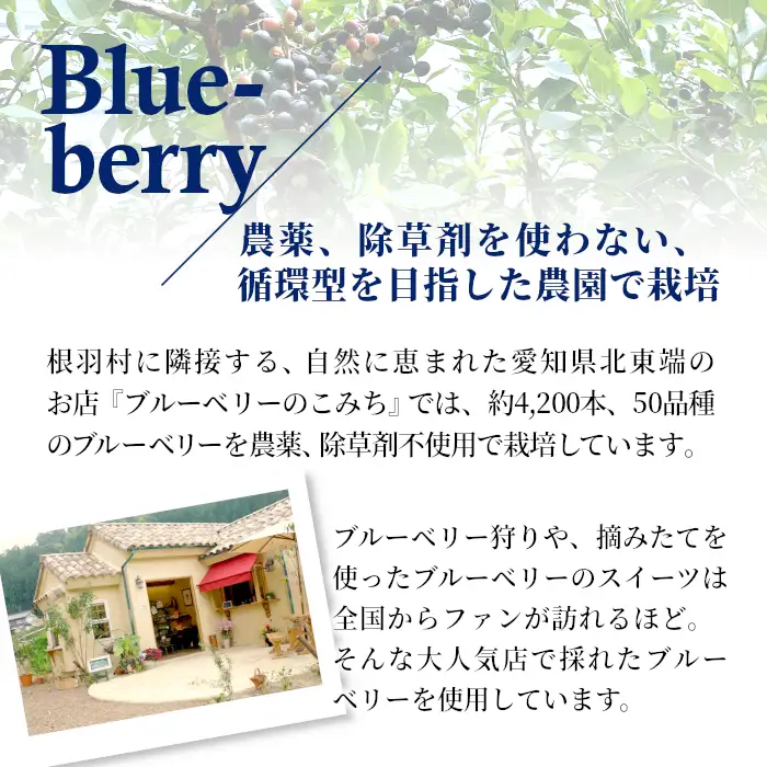 2026年7月1日～寄付金額変更★〈即日発送〉生ソフトクリーム＆稲武のブルーベリーアイス 7個セット 5000円 アイスクリーム ソフトクリーム ブルーベリー