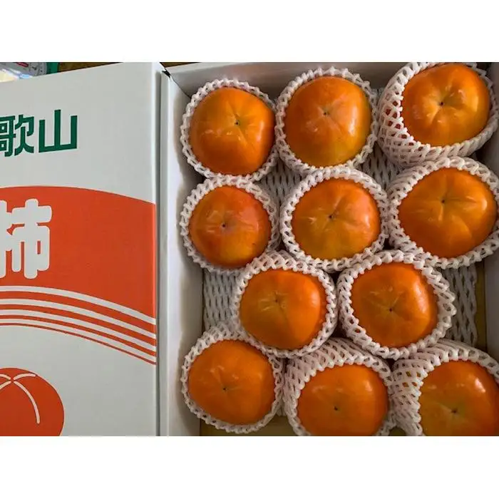 たねなし柿 赤秀品 2Lサイズ 化粧箱（11～12個入）