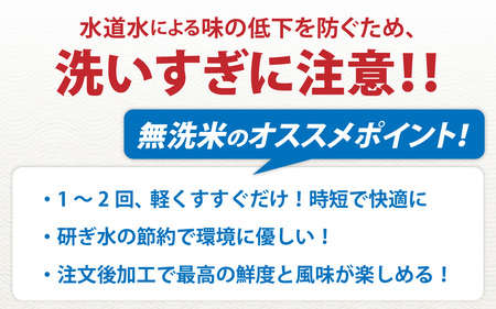 令和7年産 福井市産 コシヒカリ 5kg 無洗米 / 天然の山水で育てたお米【みやま米】 [A-168004]  / 5キロ 5kg 米 こめ コメ お米 こしひかり 福井県 福井市 令和7年 7年産 七年