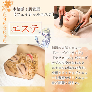 ＜数量限定＞フェイシャルエステ利用券(9,000円分(3,000円×3枚分)/フェイシャルエステプラン全メニューに使用可) ハーブピーリング ララピール ニキビ 小顔リフトアップ 美容 サロン レディース チケット 体験 【m66-11】【melty minoh】
