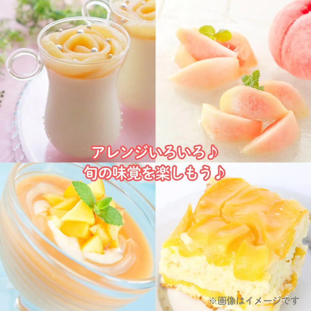 【2026年先行予約】白桃 1箱（約2kg 6玉）桃 もも モモ はくとう フルーツ 【026-a019】