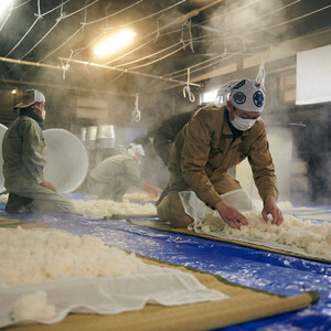 ヤマサン正宗　生酒尽くし