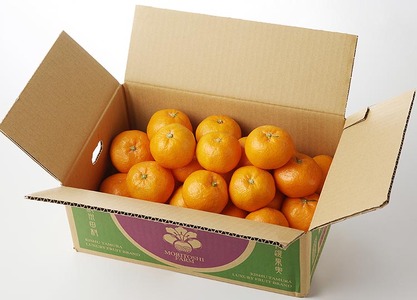 高級ブランド 秀品 紀州有田田村産みかん 3kg