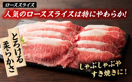 くまもと黒毛和牛「藤彩牛」サーロインステーキと2種の食べ比べ  3903【有限会社 スイートサプライなかぞの】[ZDT138]