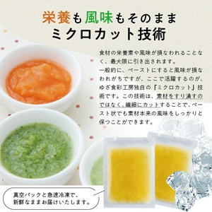 冷凍玉ねぎペースト1.0kg(500g×2袋) 冷凍便 ※離島発送不可 冷凍 たまねぎ 玉ねぎ 玉葱 野菜 野菜ペースト 離乳食 介護食 小分け ゆざ食彩工房 遊佐町 庄内 東北 [1432TN1000G]