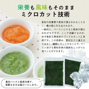 冷凍ほうれん草ペースト1.0kg(500g×2袋) 山形県遊佐産 冷凍便 ※離島発送不可 冷凍 ほうれん草 ほうれんそう ホウレンソウ 野菜 野菜ペースト 離乳食 介護食 お菓子作り 小分け ゆざ食彩工房 遊佐町 庄内 東北 [1434HO1000G]