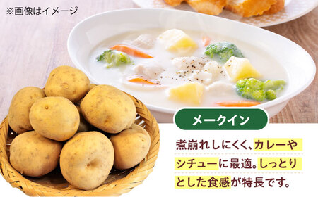 常備野菜セット（6月頃発送予定） たまねぎ ジャガイモ [AOCS025]