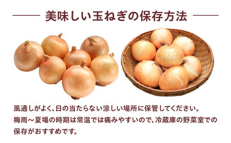 七宝早生 新玉ねぎ 5kg [AOCS026]