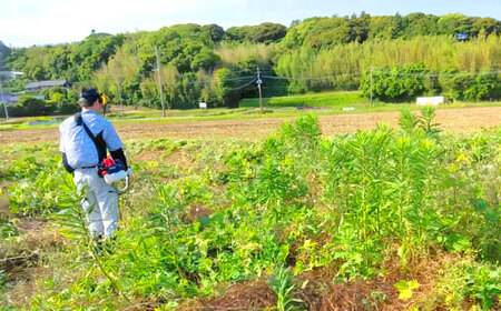 草刈り・墓地清掃・遺品整理等の代行チケット5，000円分《壱岐市》【便利屋とこしえ】[JGX001]