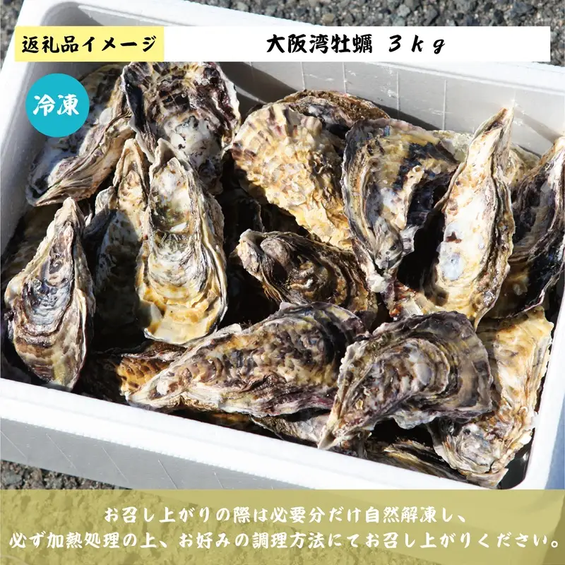 牡蠣 3kg