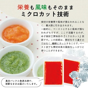 冷凍パプリカペースト2.0kg(500g×4袋) 山形県遊佐産 冷凍便 ※離島発送不可 冷凍 パプリカ 野菜 野菜ペースト 離乳食 介護食 小分け ゆざ食彩工房 遊佐町 庄内 東北 [1435PA2000G]