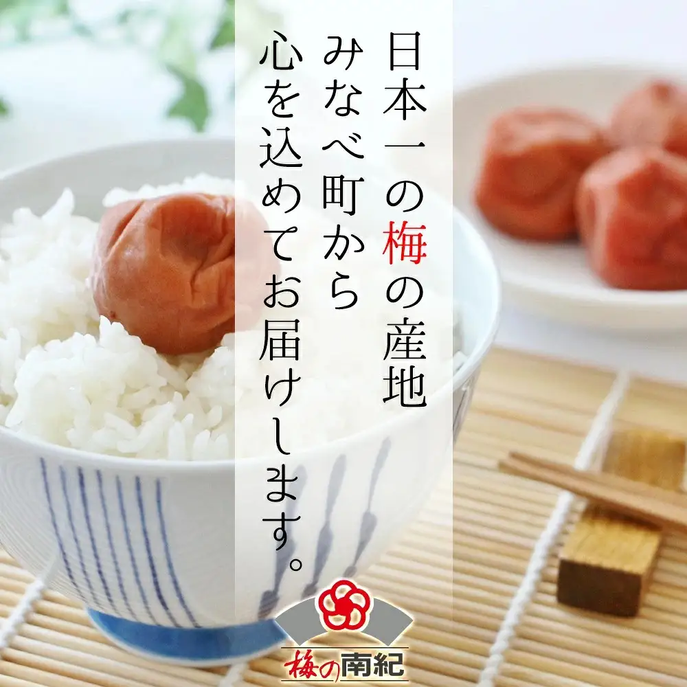 まけん梅(R) 梅と塩だけ 3kg(500g×6) 塩分約19％ 梅干し 紀州南高梅 nankiume006B【nankiume006B】