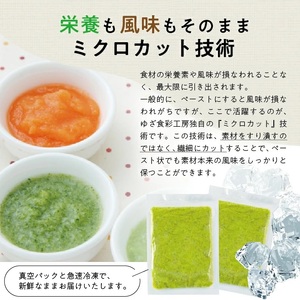 冷凍だだちゃ豆ペースト1.0kg(500g×2袋) 山形県鶴岡産 冷凍便 ※離島発送不可 冷凍 だだちゃ豆 枝豆 野菜 野菜ペースト 離乳食 介護食 小分け ゆざ食彩工房 遊佐町 庄内 東北 [1436DD1000G]