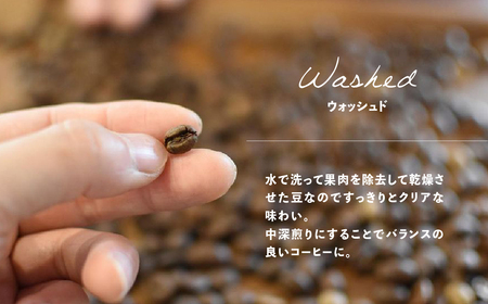 【自家用】「Kaung day」 ミャンマースペシャルティコーヒー ドリップパック　50パック  訳あり 大容量 ドリップバッグ【98-4】