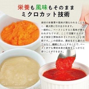 冷凍野菜ペーストアラカルト6種 ほうれん草 さつまいも 玉ねぎ パプリカ にんじん かぼちゃ 各500g 計3.0kg 冷凍便 ※離島発送不可 冷凍 野菜 野菜ペースト 離乳食 介護食 小分け お菓子作り アラカルト セット 詰め合わせ ゆざ食彩工房 遊佐町 庄内 [1438AL3000G]