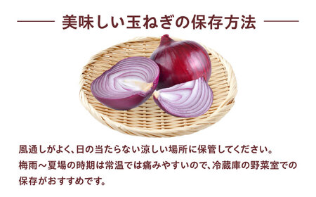 赤玉ねぎ 5kg [AOCS023]
