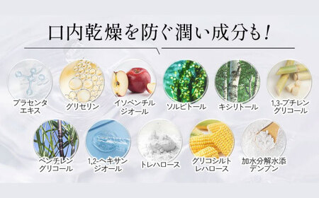 歯磨き粉【全6回定期便】舌磨きジェル ミントフレーバー風味 3本(各100g) 歯磨き粉[AGCQ023]