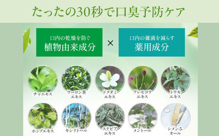 歯磨き粉 マウスウォッシュ 3本(各300ml) 歯磨き粉[AGCQ027]