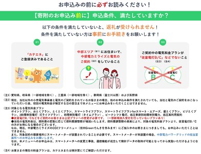 【010-87】伊那市産CO２フリー電気（10,000円）（注：お申込み前に申込条件を必ずご確認ください）