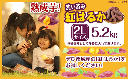【熟成芋】芋名人が認めるさつまいも『洗い済み　紅はるか』5.2kg 2Lサイズ ※12月～1月頃順次発送_LE-L703-J_(都城市) 宮崎県都城産 紅はるか 2Lサイズ
