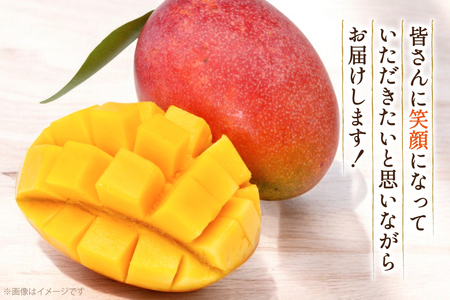 【期間限定発送】 マンゴー 宮崎県産 完熟マンゴー 3L 以上 1玉 [日向サンパーク 宮崎県 日向市 452061246]