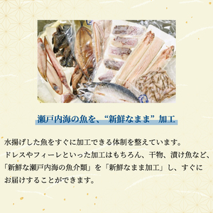 瀬戸内海の豪華な恵み！一夜干し・漬け魚おまかせセット（４～５パック） 魚 肴 おつまみ 海鮮 干物 車エビ 西京漬け 広島レモンサーモン 粕漬け 鯛 タイ ハモ カマス シズ 鱧 かます みそ漬け 味噌漬け ギフト 詰め合わせ プレゼント ギフト 瀬戸内 ランダム 食べくらべ お取り寄せ 056001