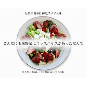 アウトドアスパイス 神塩カミソルト コンプリートボックス6セット