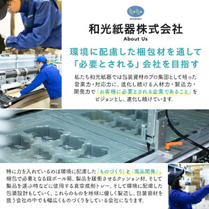 ポリエコレン担架